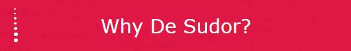 De Sudor Investigations, Ipswich